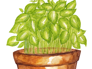 Добро јутро децо: Гаги Василики