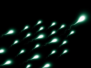 Како сперматозоиди крше Њутнов закон акције и реакције