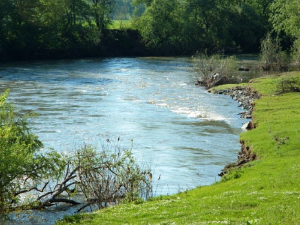 Река Морава