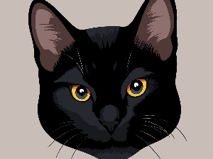 Добро јутро децо: Сујеверје