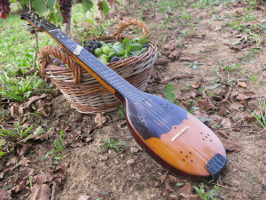 Свирај свирче – Шаргија