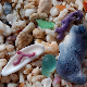 Шарени каменчићи са плаже – благо настало из смећа које поново постаје стакло