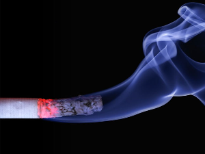 Древна биљка зановет одговор за пушење – уз њен састојак два пута лакше оставити цигарете