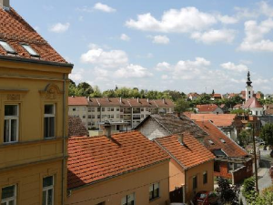 Полиција у Вуковару потврдила привођење још једног учесника у насиљу над малолетницима