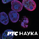 Човек и камен: Плави ток