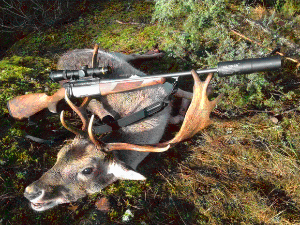 Владимир Симић: Ловац – оно за чиме трагамо