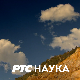 Животиње у царству метафора: Слон