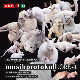 Музика вива – Музикпротокол 2023
