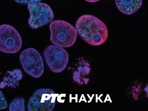 Професионалци:	Јуриј Батурин