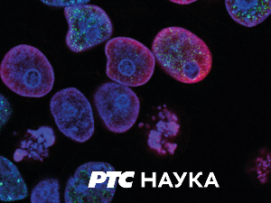 Монотематска емисија: Живот миленијалаца