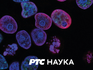 Студио знања: Будућност медија