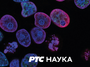 Лични космос:	Паулина Сударски