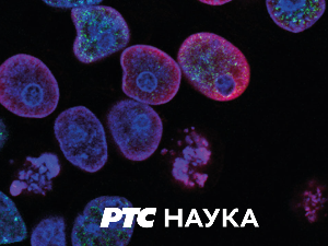 Наука 2023:	Страх у нама