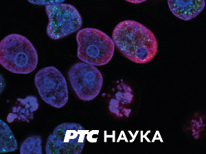 РТС ординација:	8ц, ем. 8