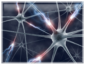 Неуротрансмитери и нервни систем
