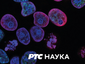 Промис:	Кликом до чистијег Дунава