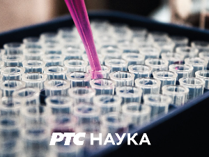 Еко перспективе:	На умору река