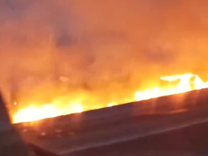 Пожар поред ауто-пута Нови Сад-Суботица, гори ниско растење