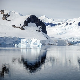 Лед на Антарктику никада није био тањи, напомињу научници
