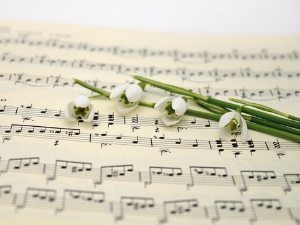 Вокални ансамбли - The Peters sisters