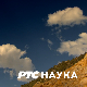 Скривени свет пчела:	Урбане пчеле