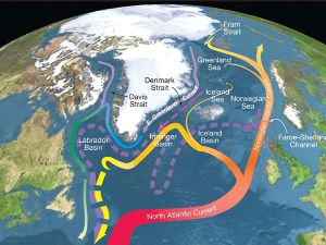 Топљење леда на Северном полу убрзаће колапс Атлантске циркулације, а са њом и Голфске струје
