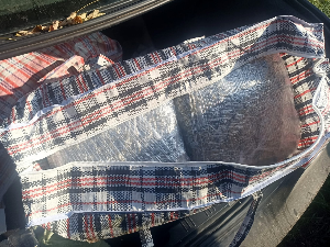 У Краљеву заплењено 20 килограма марихуане, ухапшена једна особа