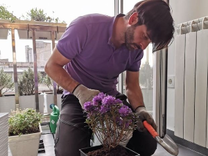 Еко минијатуре: Са Ђолетом у башти, друга емисија