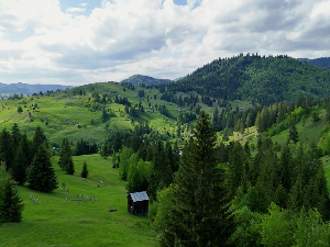 Буковина, трећи део