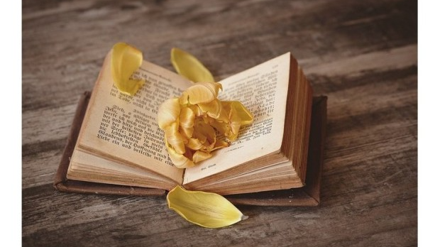 С песником у подне: Оскар Давичо: ,,Самичари“