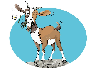 Добро јутро децо: Јарчеви се уплашили вука