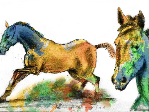 Авантуре црва Пере: Боје