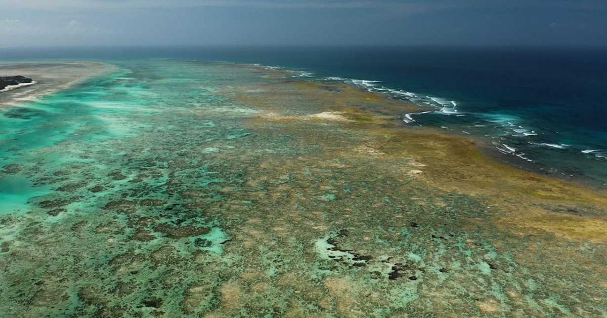 Неустрашиви борци са морских обала: Занзибар, 4-4