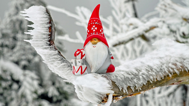 Зимско кулирање