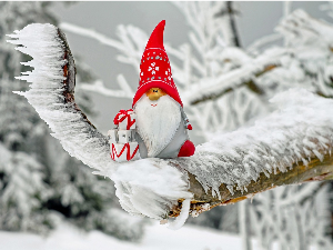 Зимско кулирање