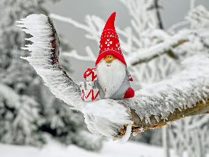 Зимско кулирање