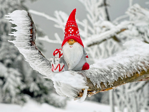 Зимско кулирање