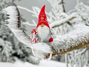 Зимско кулирање