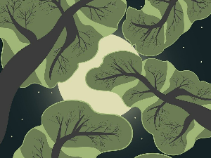 Поезија: Верослав Гајовић 6