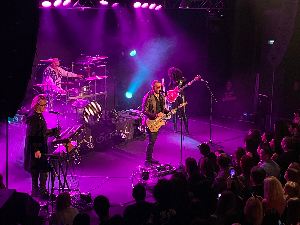 Звучни зид – Ван Гог