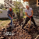 Моја дедовина 4 - село Крива Река на Златибору, 10. емисија