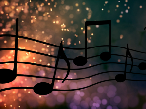 Ритам звезда - Оркестри