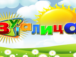 Зујалица:	ц.11 ем.25