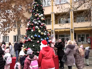 По чему се разликује јелка пријатељства у Ковачици?