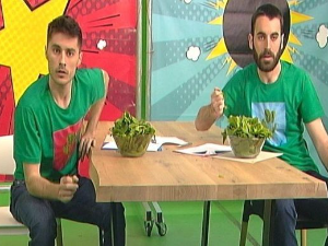 	Хемија разбија митове: Глутен