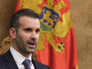 Спајић: Да би српски језик био службени у Црној Гори, Устав би требало да се мења