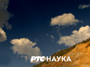 Професионалци:	Нинослав Никићевић, стручњак за ракије