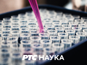 	(Не)обично о биљкама: 	Биљке у народној поезији 9-10