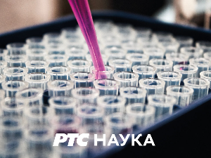 Некада давно – српске народне бајке:	Кршење забрана