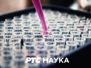 Фантастична планета: Похлепа